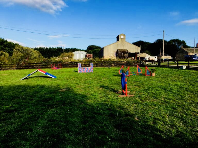 1384 a09643103dc97ee85631a307feb16b71 1 768x576