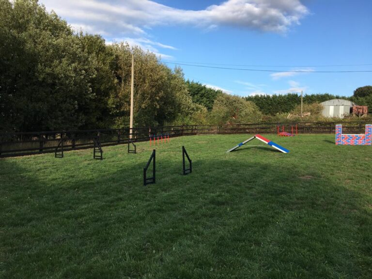 1384 aada57e0e0fe5c257946d5db06edeb55 1 768x576