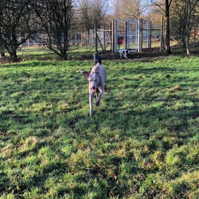 1385 003e619021ce1bdf078143ae5ec4b77f 1