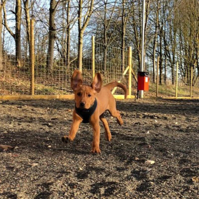 1385 6dec6d0345237d77cbde7b473715f1bd 1