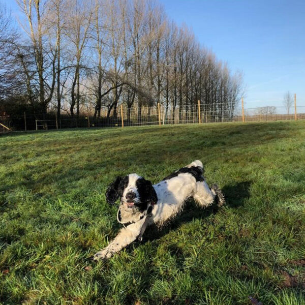 1385 ba3f32c2a6750cf923821fa0c5851384 1