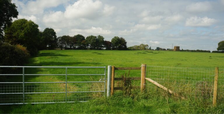 1387 0d44e4daf28c6f0dd9ac77a2471b82e8 1 768x393