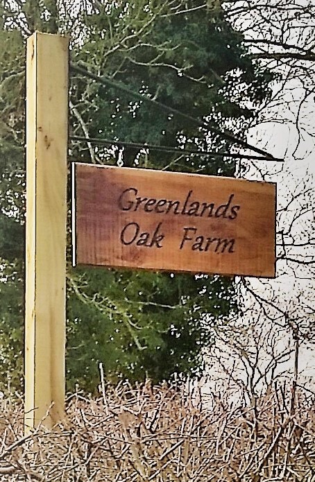 1387 4565e88cf04cde4d87085aff37a8d489 1