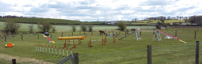 1391 84eb8cd80ca69e03dec5120bfd0a7078 1 scaled 768x244