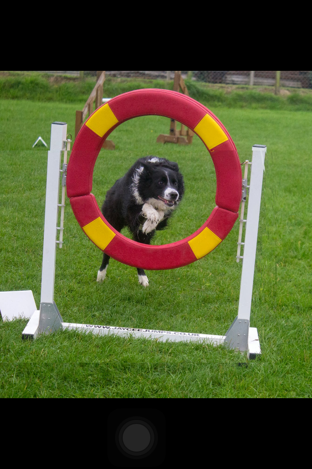 1391 d1f5f462631f790cf4d81fa9eb234f74 1