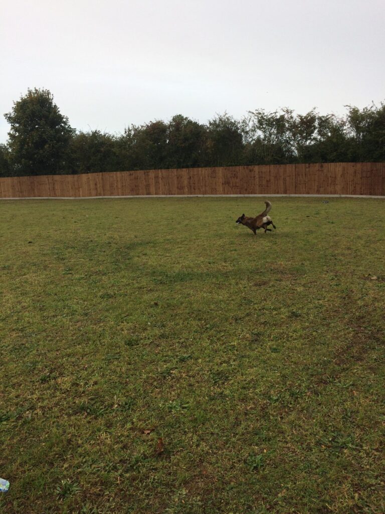 1393 1e81eef6f7976dcdc45cea1026486668 1 scaled 768x1024