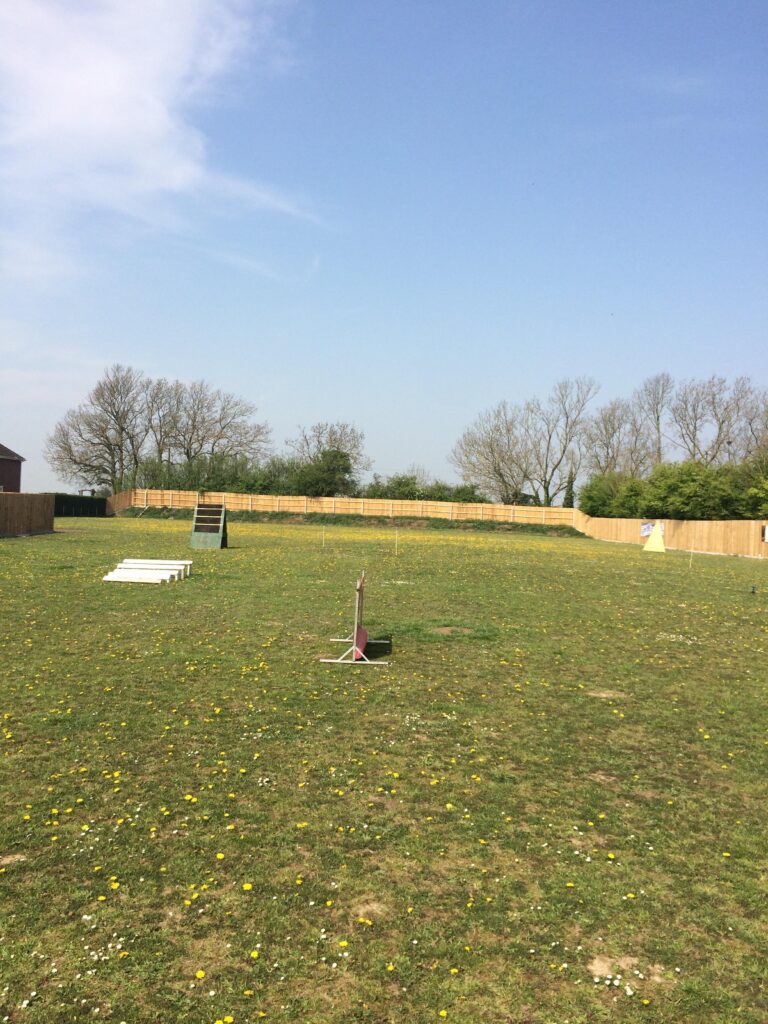 1393 9a1147e5ef58b25c7d2f82e45b17ae68 1 768x1024