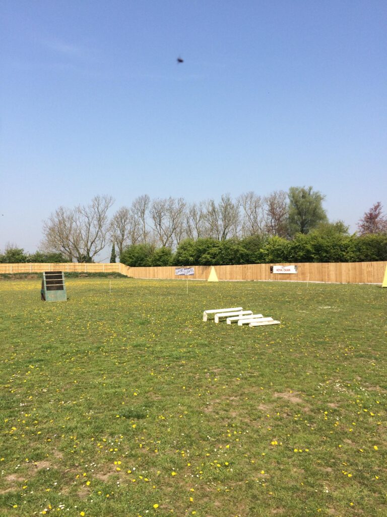 1393 d306e9c1009b67563446dd0dfc55412f 1 768x1024