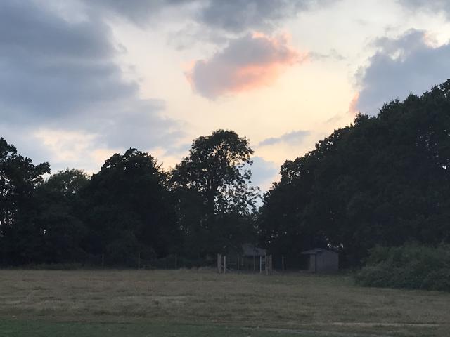 1396 4a87e21616dfde463a49575f1f3b37c8 1