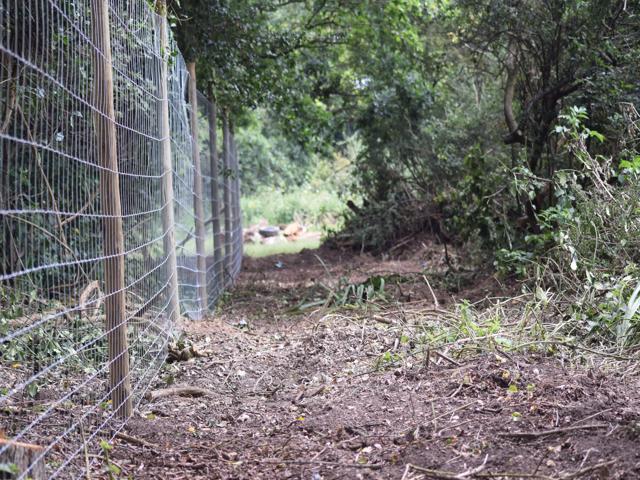 1396 61d26e29fdf290eb601afdea04ee92f9 1