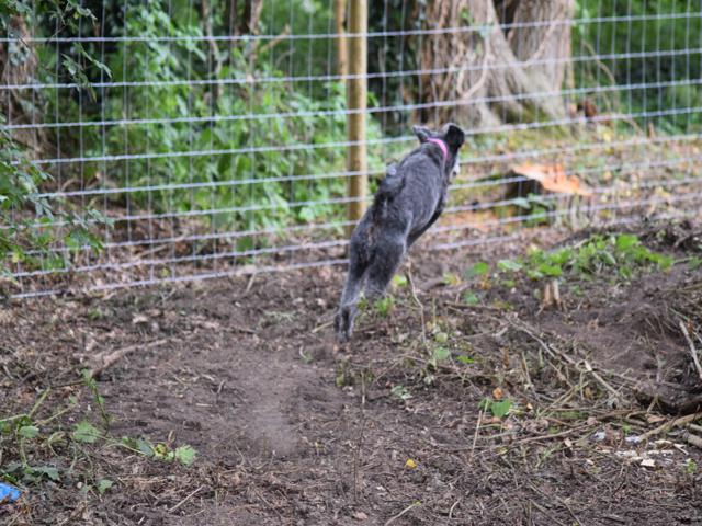 1396 82162e27a9ec04d019b45a1091d129ec 1