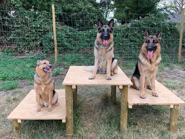 1396 8a153b3221405f9bf168573d07bc6fc4 1