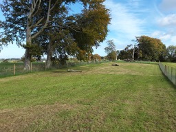 1399 b329d465cab601b56ff43fb9ba09a6b8 1