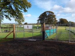 1399 d7194f3eba96083b59205b3ea4433607 1