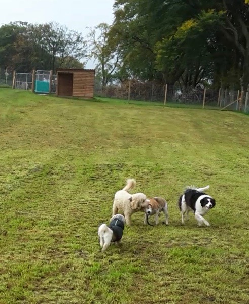 1399 e51d247aac6c7d6ee4f480272d3bfe49 1