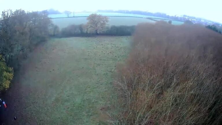 1400 07c1fe70645310cb9ea0eb0ad9b53f9b 1 768x432