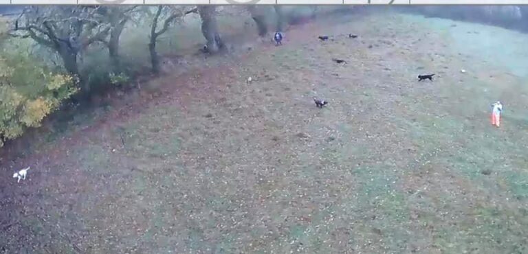 1400 79ec4803354da934f0c4abecbcc693fe 1 768x370