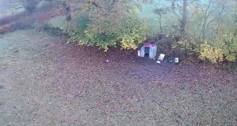 1400 b02b967e7984e92492609589b5d0a6b4 1 768x410