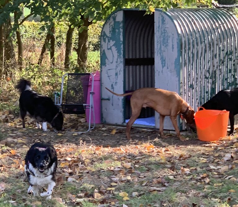 1400 f74fc3dafe344ead9161e60b151f517d 1 768x668