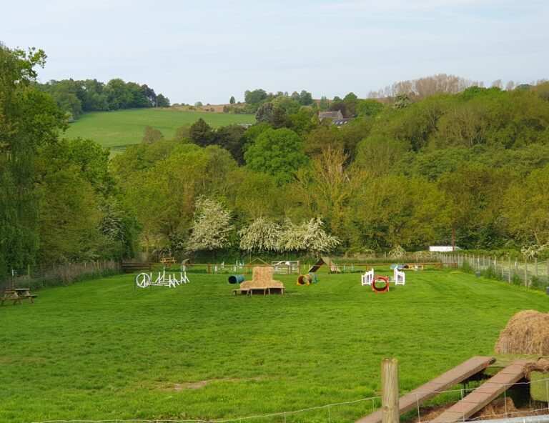 1404 e3b48a9b84e4c122ed18ba97dd2e8d44 1 768x592