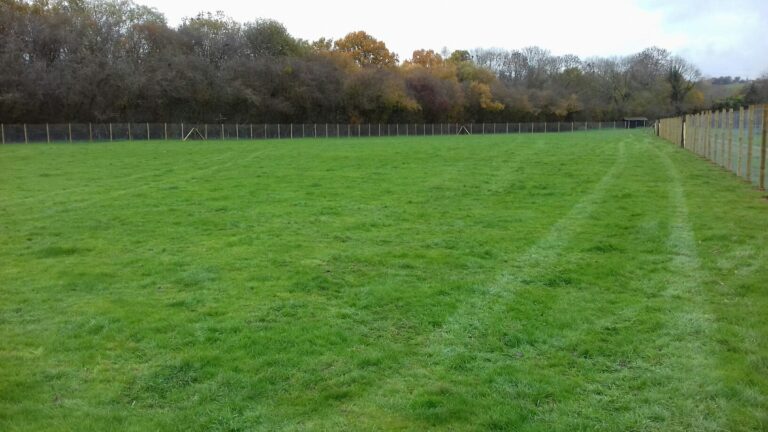 1406 29620c7f65fff5b840949dcd5fa8bcba 1 768x432