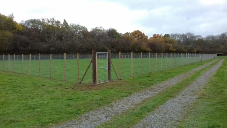 1406 8a301979cbbfa08f2c9cbf9b125a02d8 1 768x432