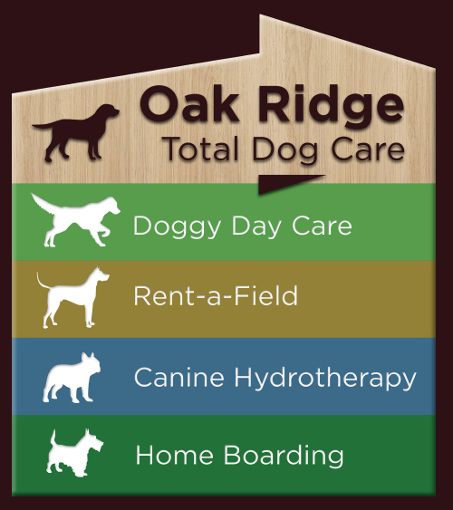 1406 f2e40d326b255fa538cac55598fc1521 1