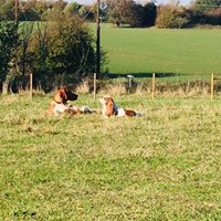 1409 006a3244d5597f722ee7f87c52d0d8df 1