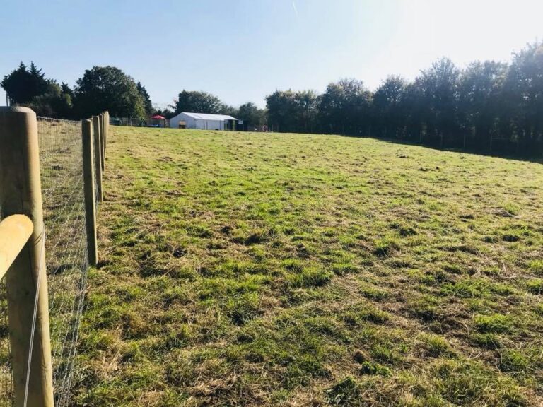 1409 02a59821aefd55e0b8736b9dfa8c2940 1 768x576