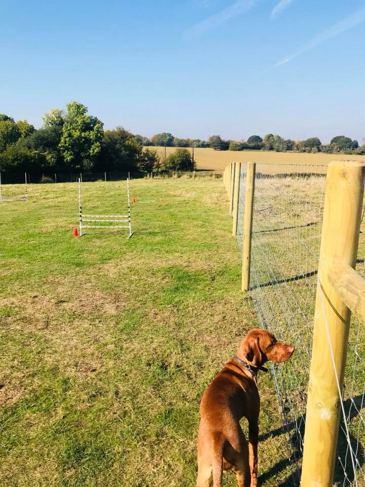 1409 08bf8713cd5ae8e85a85584d77e8a708 1