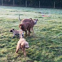 1409 0fea03cd7171832fb3438c6b806e913c 1