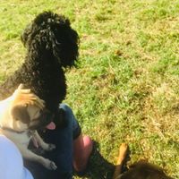 1409 11f1110fa5a677df74873dbc28cab4df 1