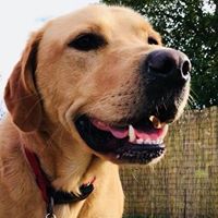 1409 1c439b552334b38f394f6bf4df02d9c9 1