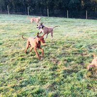 1409 33ecb4f10c35c185ad515b5a8a55b678 1