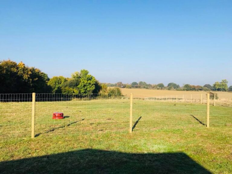 1409 4fba442650ceeb3fe3405e33c17ff4c1 1 768x576