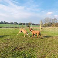 1409 60627c23a0205b6628661e1b54a18292 1