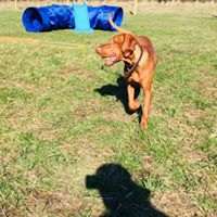 1409 88b698442e4c9e7571650fc12fad4939 1