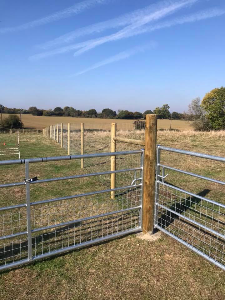 1409 b0d64e21799f0fc95979700534194ebb 1