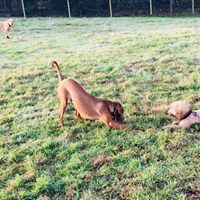 1409 f8a09c133c042cb15867e3b346bccce2 1