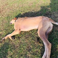 1409 ff70834118cd1613e6f08aa78ca86f0e 1