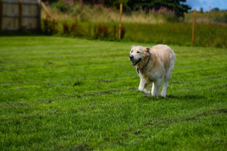 1410 7af350523ed631962fff91475b619670 1 768x511