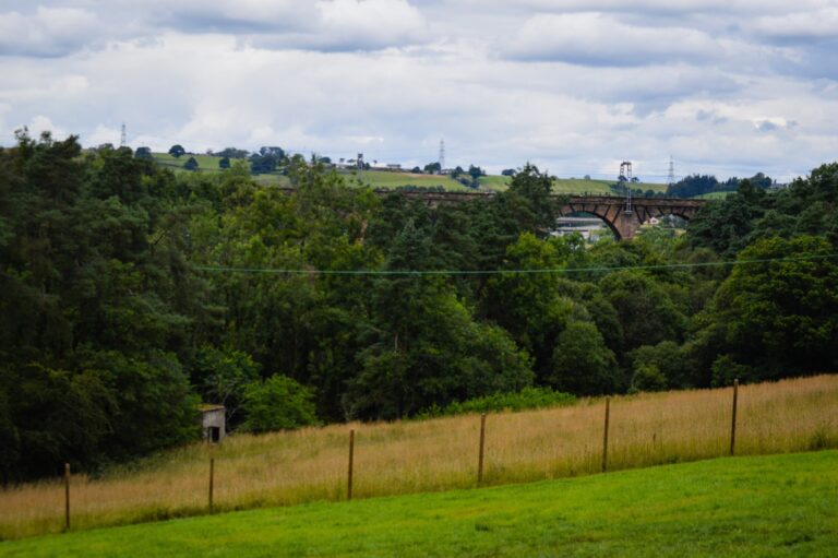 1411 e181d51ed0e94a695ba6e0dc92c98706 1 768x511