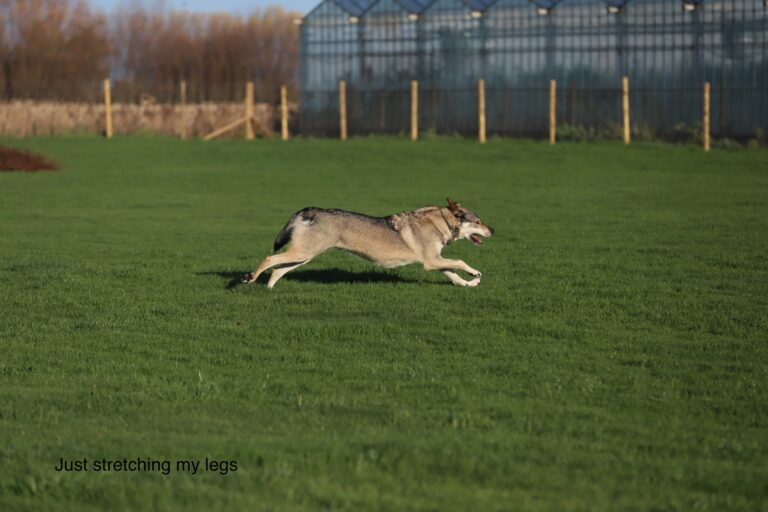 1414 2920e7e87fd9dbb7854f5b7211dadeaf 1 768x512