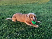 1414 58376341d22d6f156c6ba0c773c672b0 1