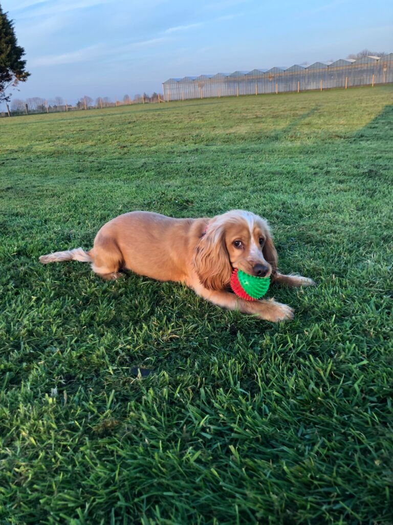 1414 63d98c67ec7394be3a00dbe82e81f200 1 768x1024