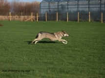 1414 c662185036207628db4438b5e2e3a587 1