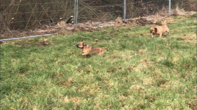 1415 0063cfa740339a610fb96509fa944a4f 1 768x432