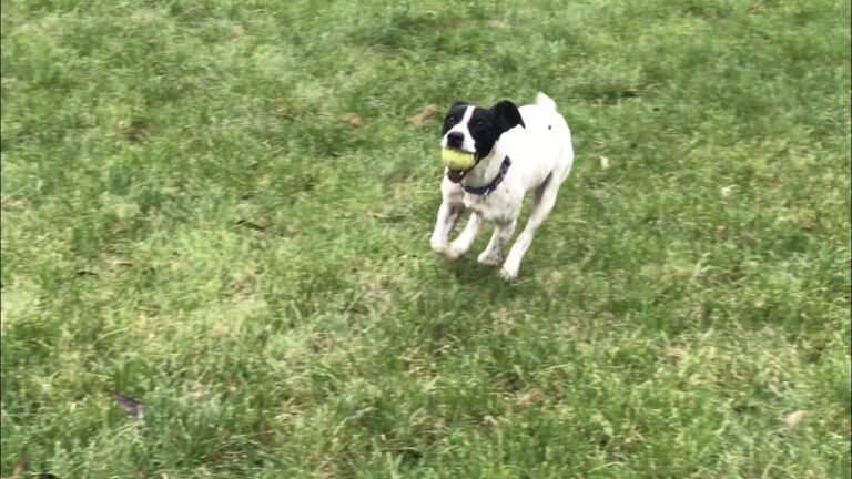 1415 54f139c8bcb0da2cafe6af6fdaa335fe 1 768x432