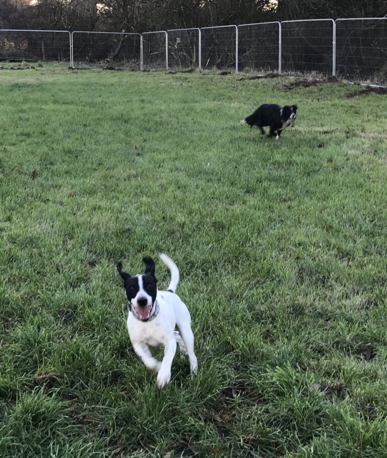 1415 b1e5fbd6d255ed7a3f1df8d7cc043746 1 768x908