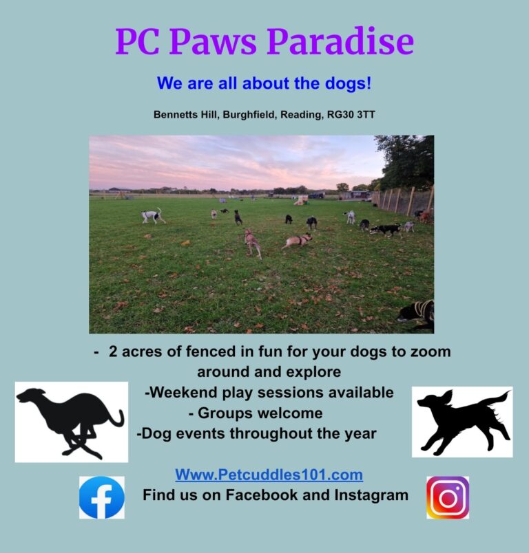 1417 8ab732ddbe758c1bf41b94b7fea25cb7 1 768x804